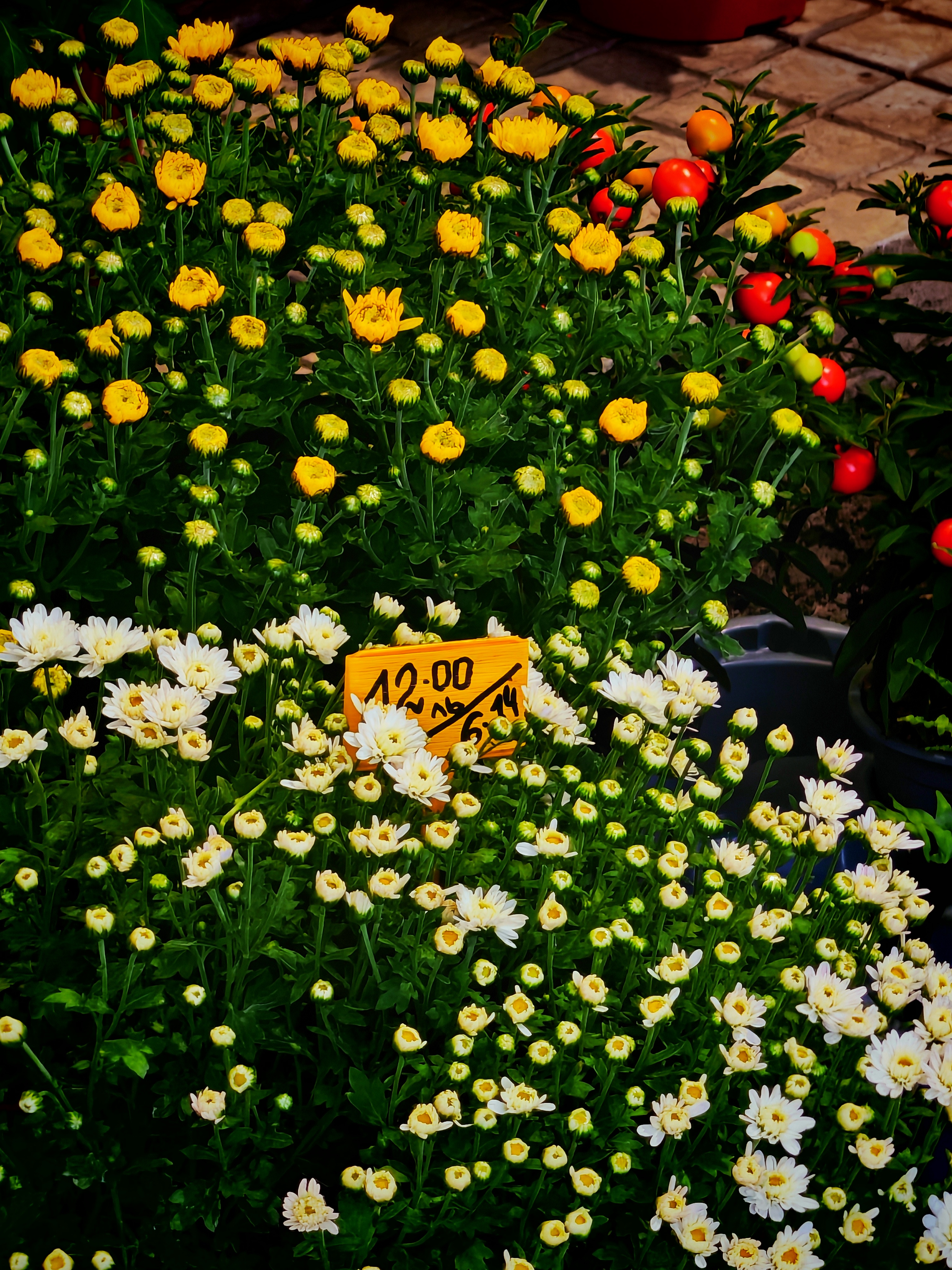 Photo September 2025